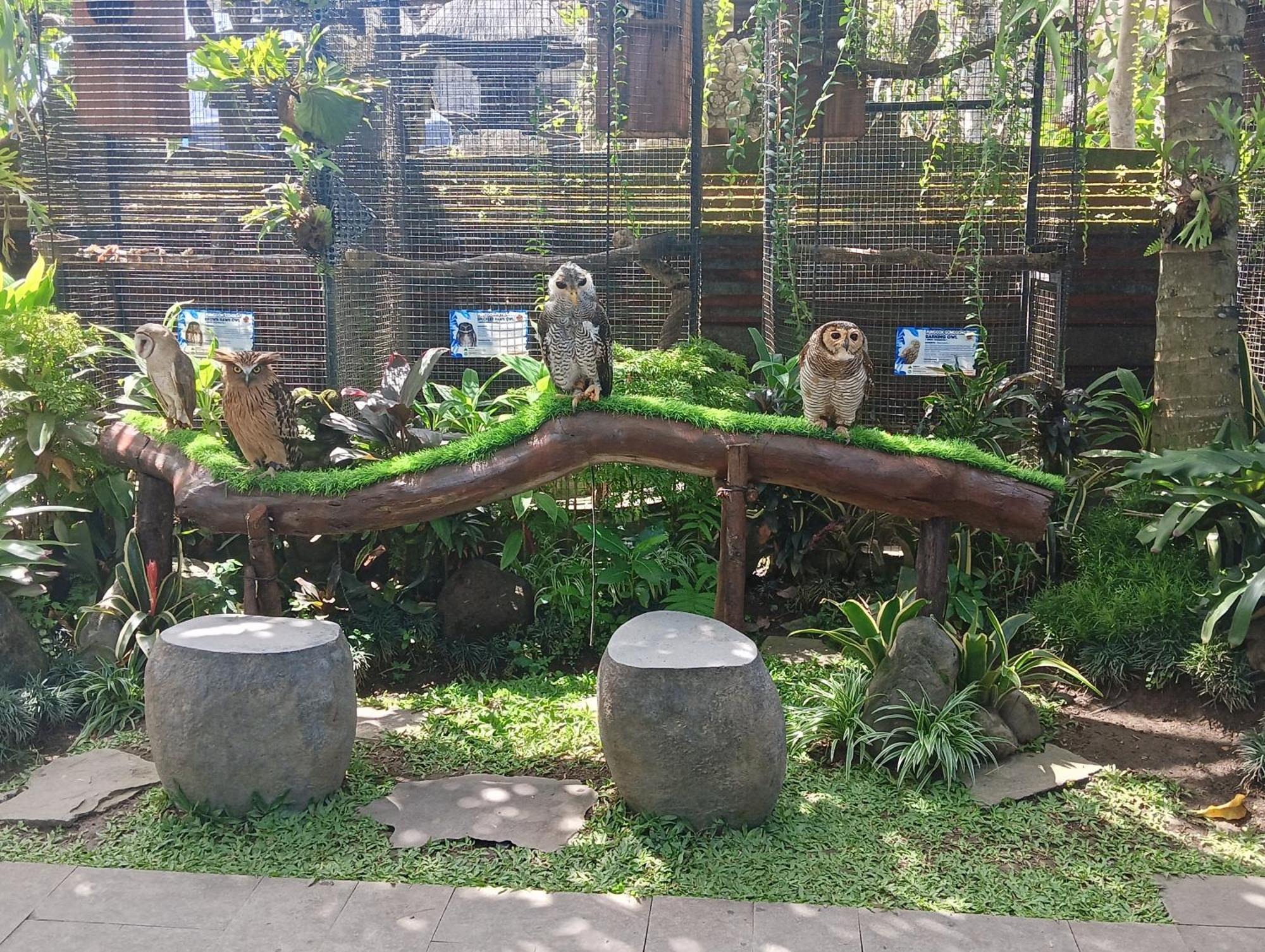 Liyer Spirit House Hotel Ubud  Exterior photo